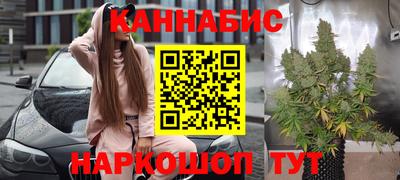 сатива Волжский