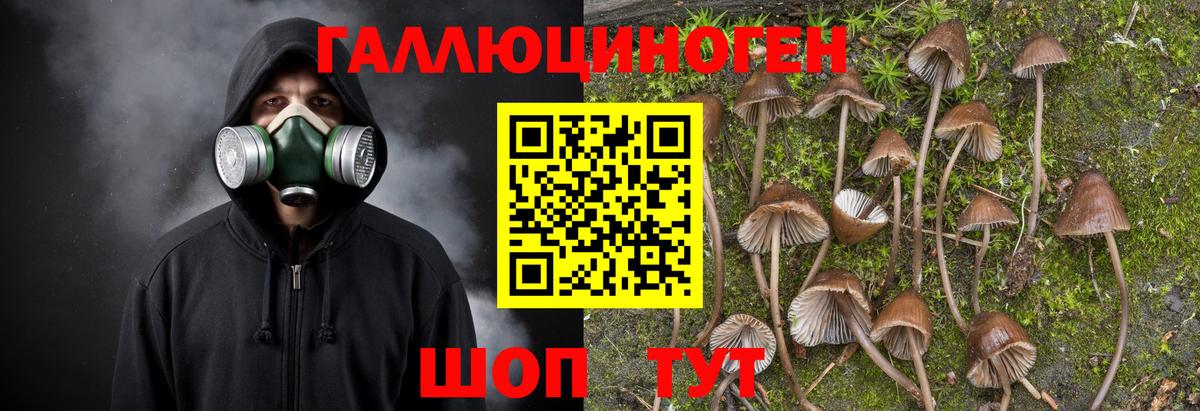 Псилоцибиновые грибы мицелий  Вход с VPN  Ейск 